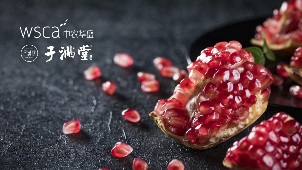 餐饮品牌加盟策划方案,福州餐饮品牌策划设计公司