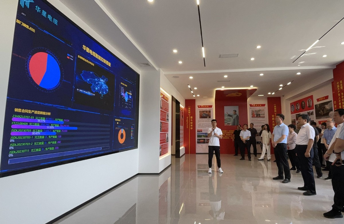 参观新能源储能项目,参观考察电气公司