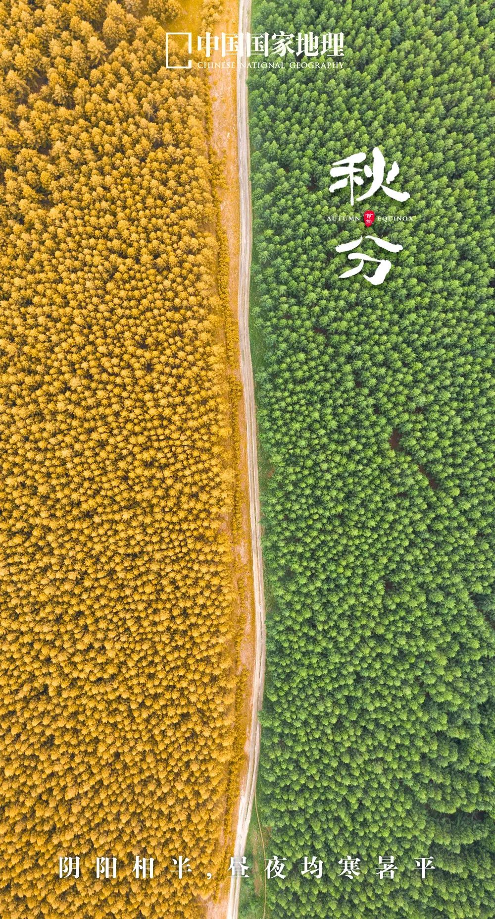 一年中最有智慧的节气图片,365天最美24节气图诞生惊艳国人