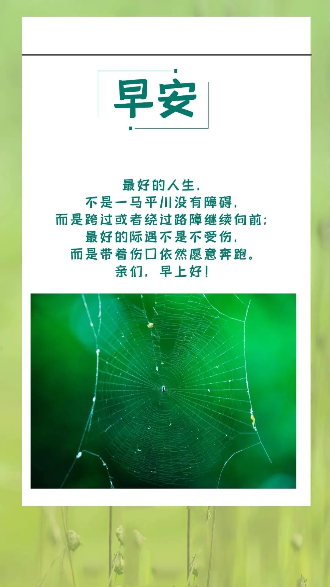 早安心语励志正能量短句2019,今天高考加油努力的句子