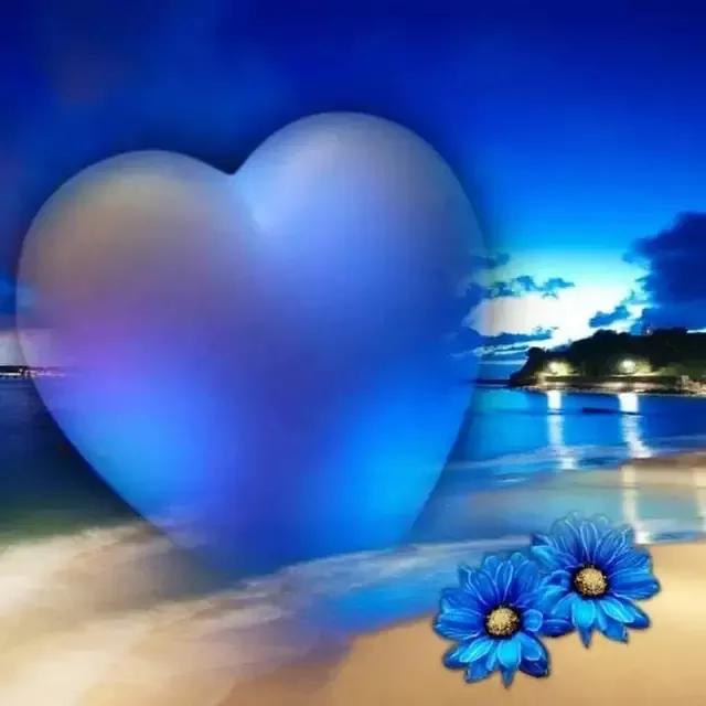 手拿心形图片,心形图片大全