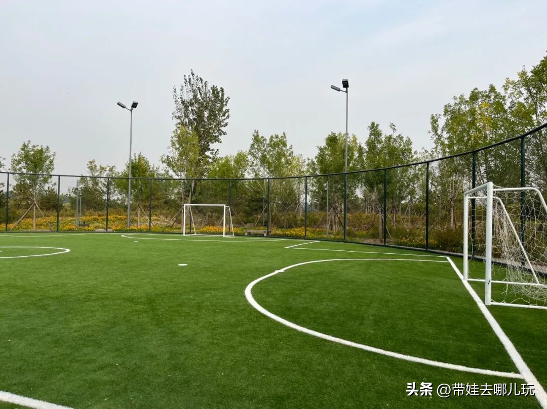 藏在二环的超小众免费公园,免费游玩的小公园