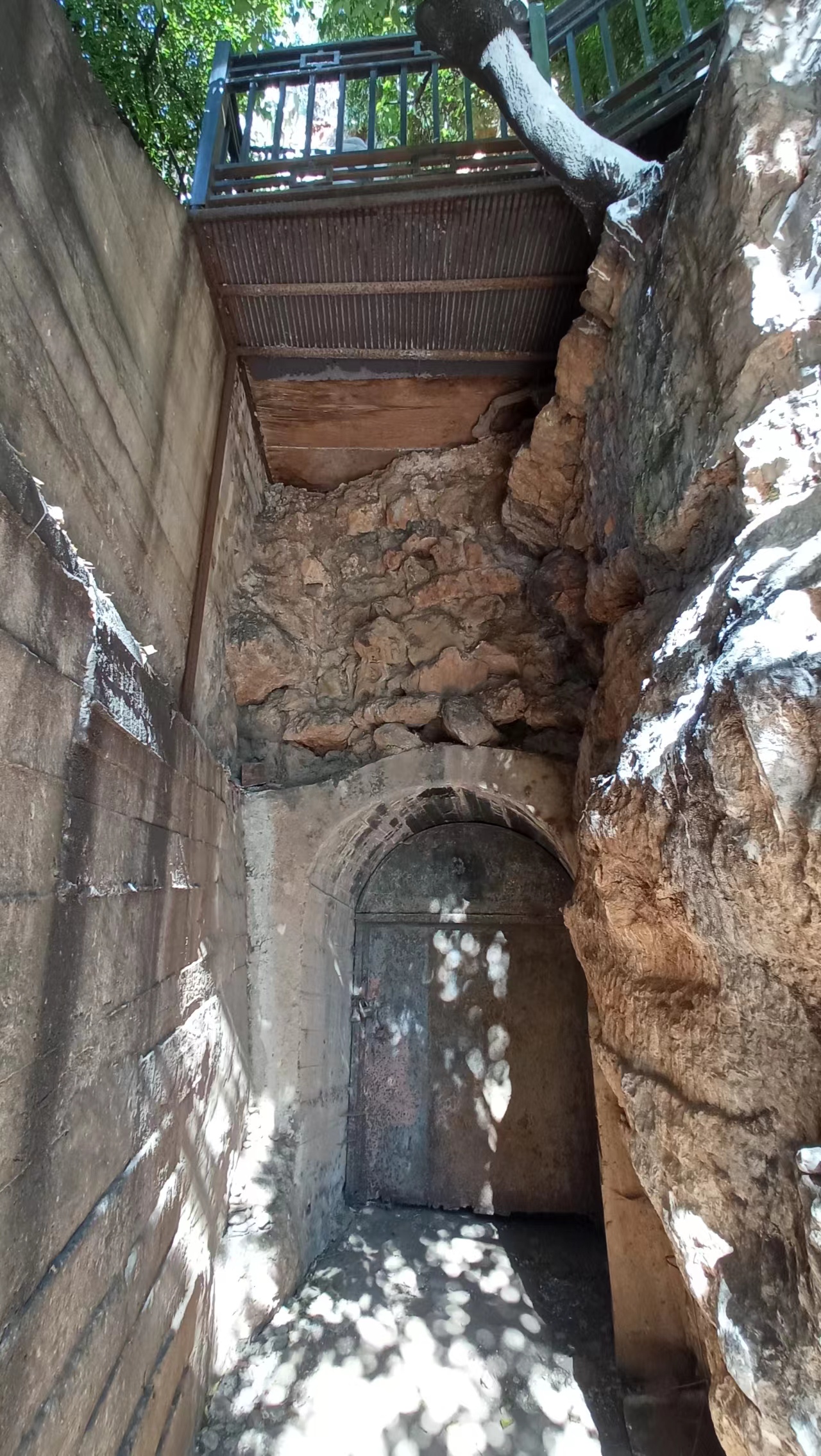 蛟龙的蛟是真的存在的吗,蛟龙发现什么生物