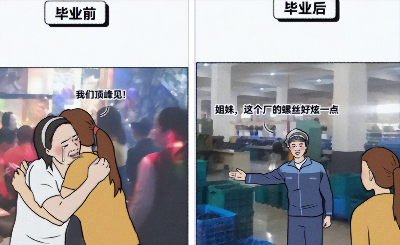 上学和毕业变化搞笑图,大学生用梗图实力调侃毕业生