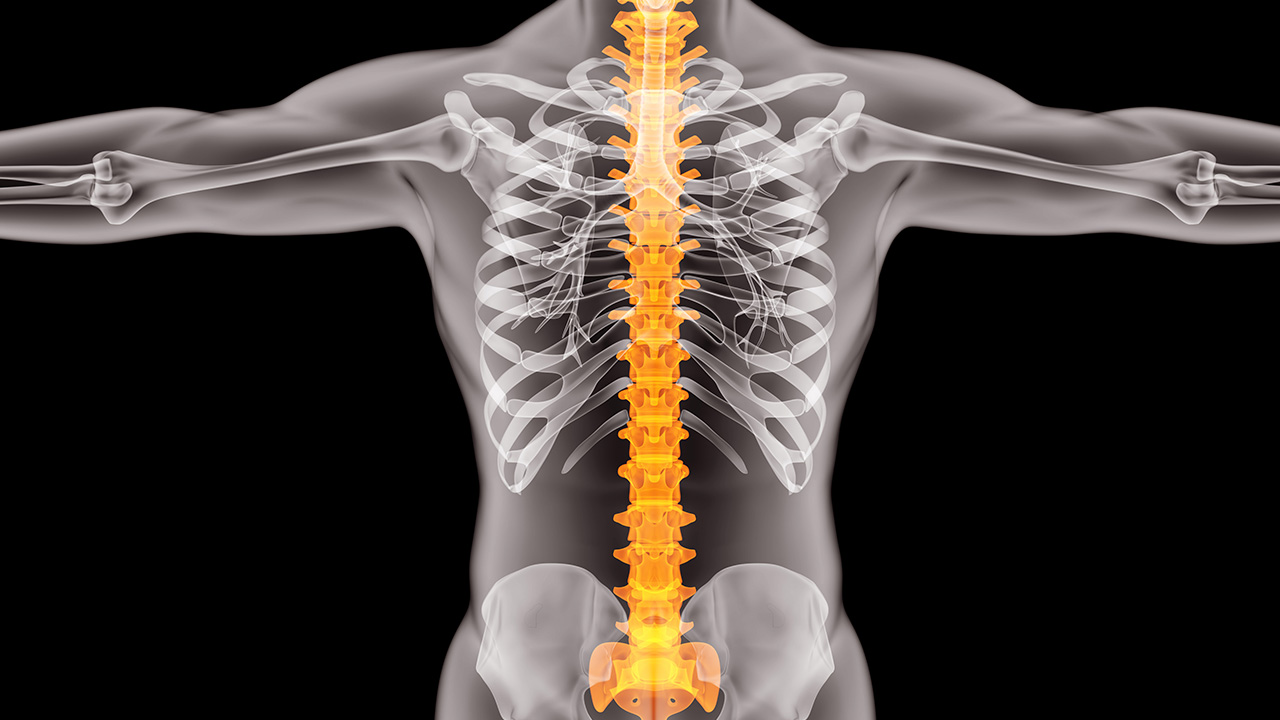 子宫内膜增厚乳房胀痛,子宫内膜增厚引起乳房胀痛吗