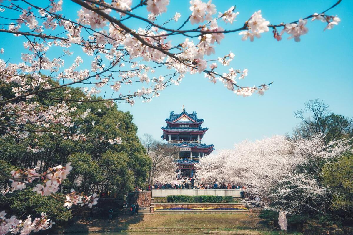 离枣庄近的江苏旅游景点推荐大全,江苏镇江旅游必去十大景点推荐