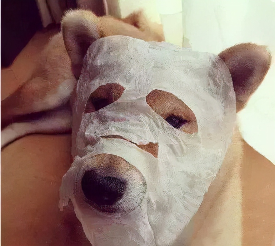 只要不倒闭一直会回购的面膜,回购到90岁都想回购的面膜