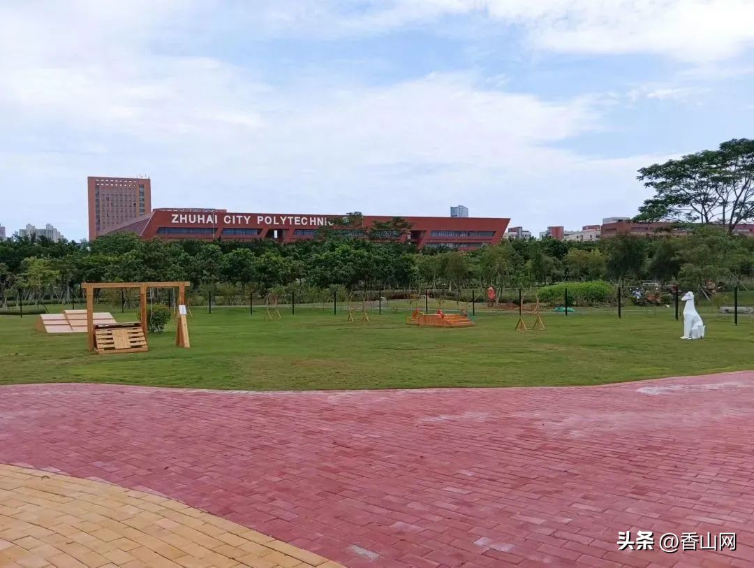 珠海遛狗有市场吗,珠海有哪些地方可以遛狗啊