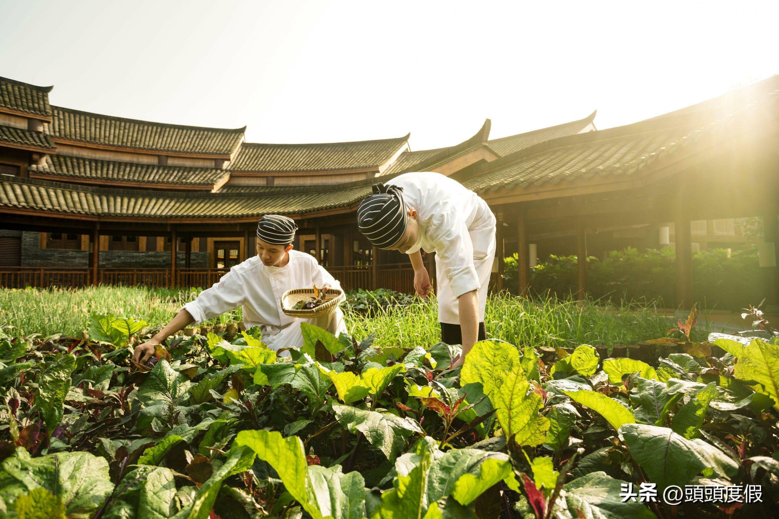 成都青城山六善酒店标间价格,青城山六善酒店是哪个酒店旗下