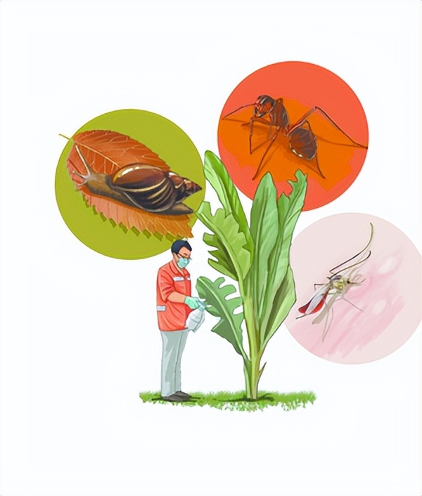 虫虫特工队,虫虫特工队来袭