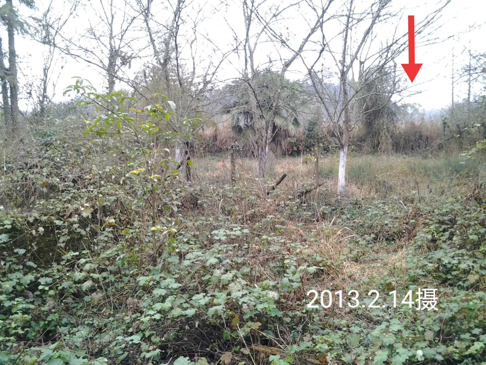 时隔三十年和老母亲再游上海,一个上海知青的回忆