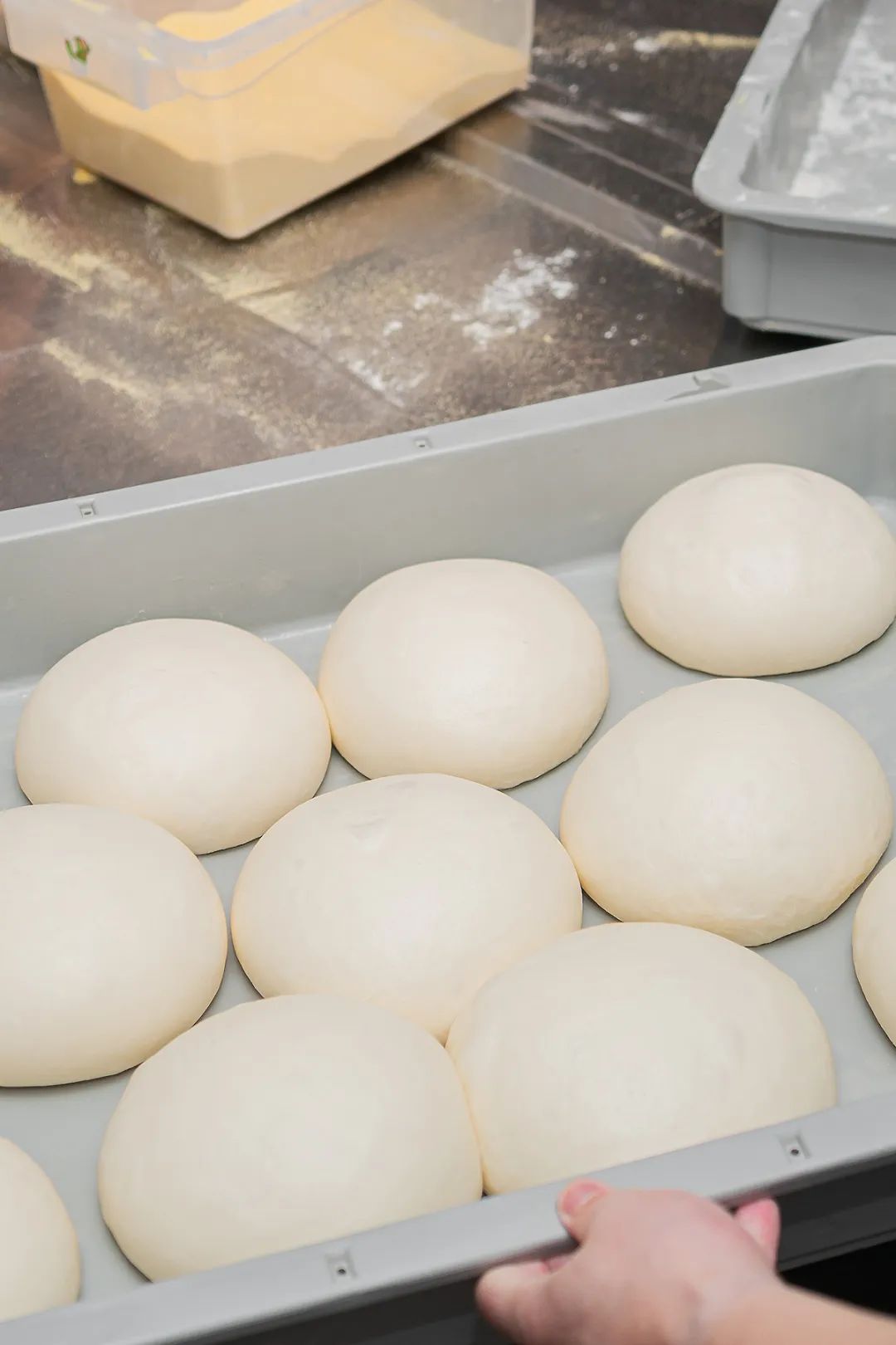 做披萨饼胚时总开裂,披萨饼皮硬是什么原因