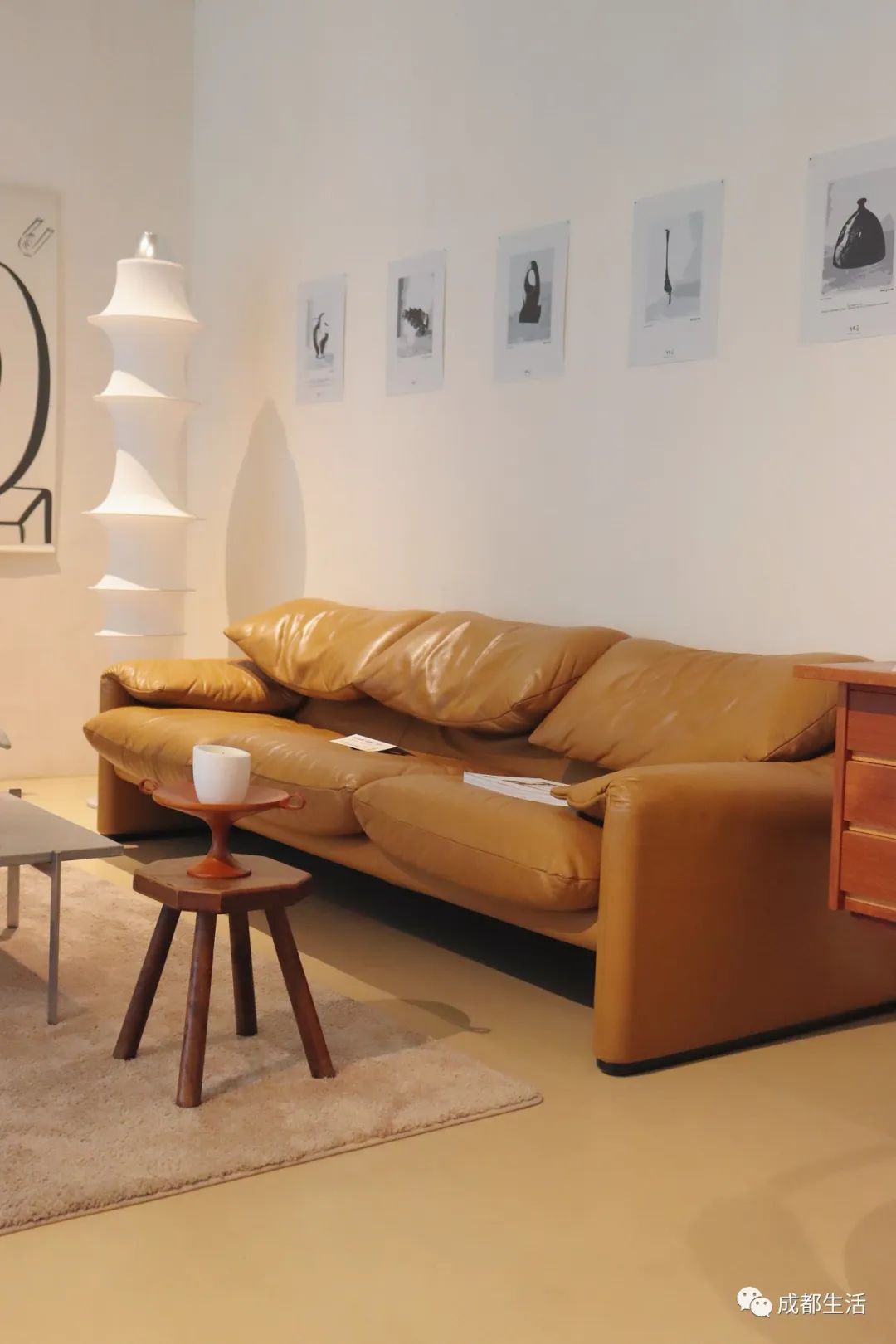 12条时髦老街，长满晒太阳的成都人