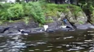 魔幻走进现实，冷血杀手即将假释出狱？-《7月22日》于特岛*案惨**