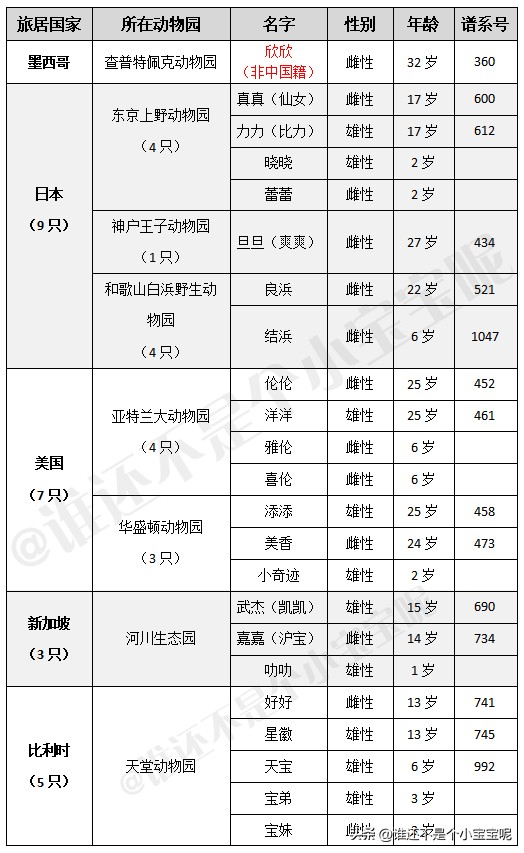 目前在国外的大熊猫有几只,大熊猫国外租借了多少只
