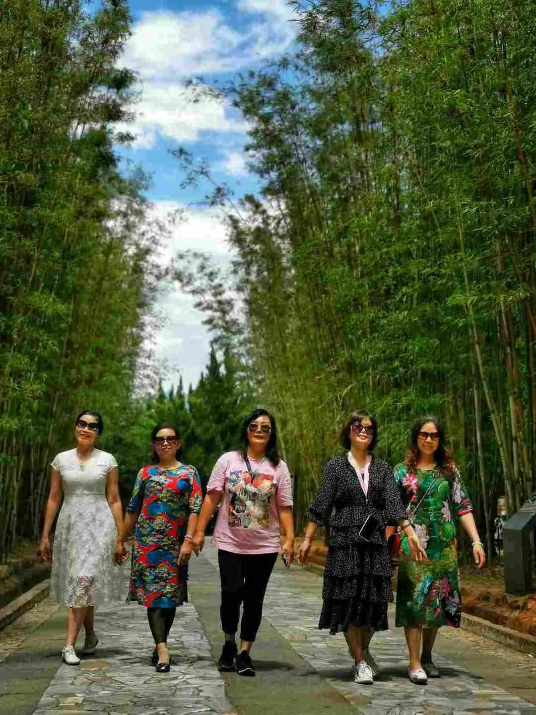 蝴蝶泉洱海大理古城崇圣寺三塔,云南旅游蝴蝶泉