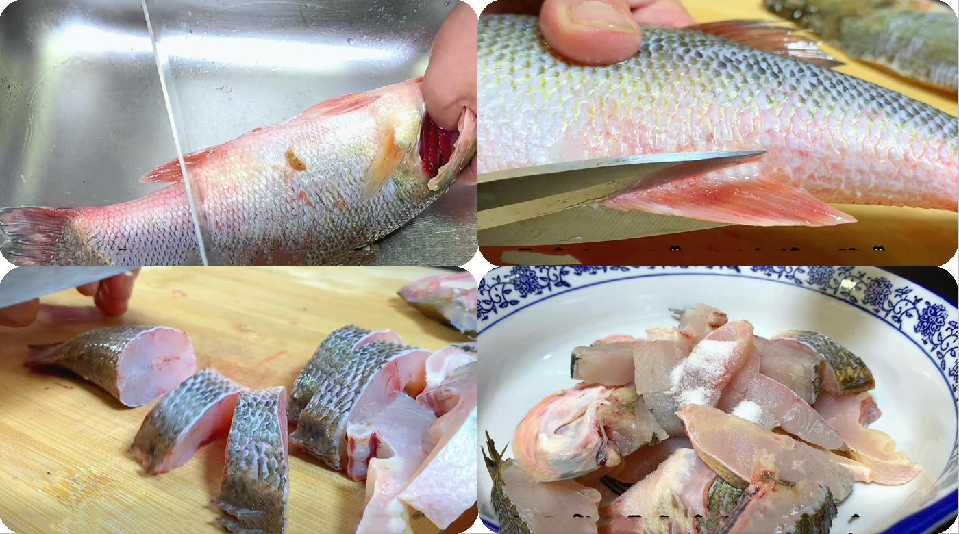 春季养生宜选择的几种野生海鱼,什么海鱼最好养又营养