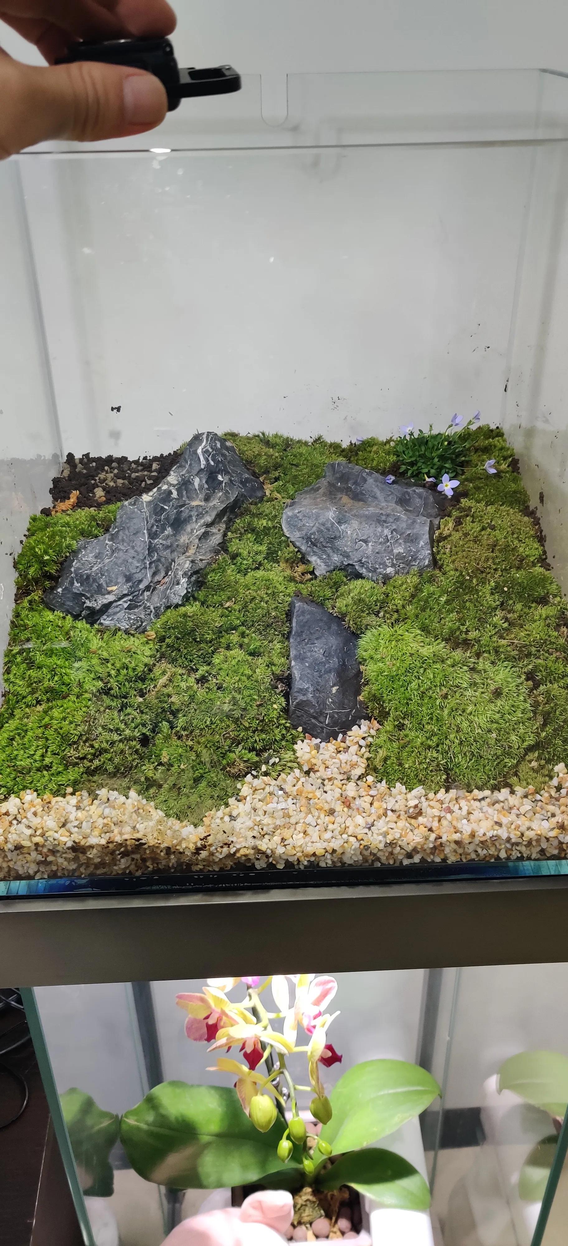 手机柜台展示柜新型,手机展示柜改造翻新创意