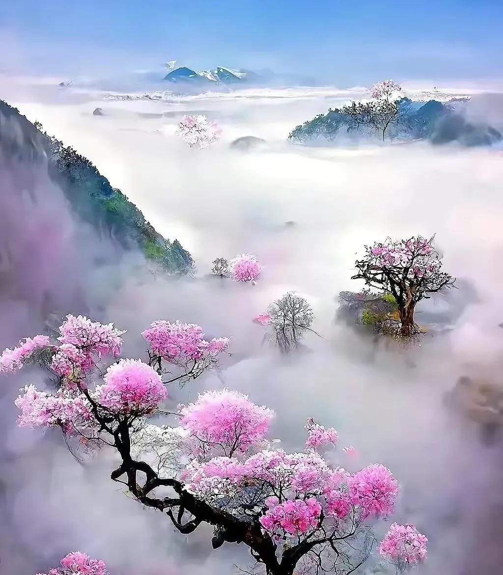 春秋陈国版图变化,春秋时期陈国在今天哪里