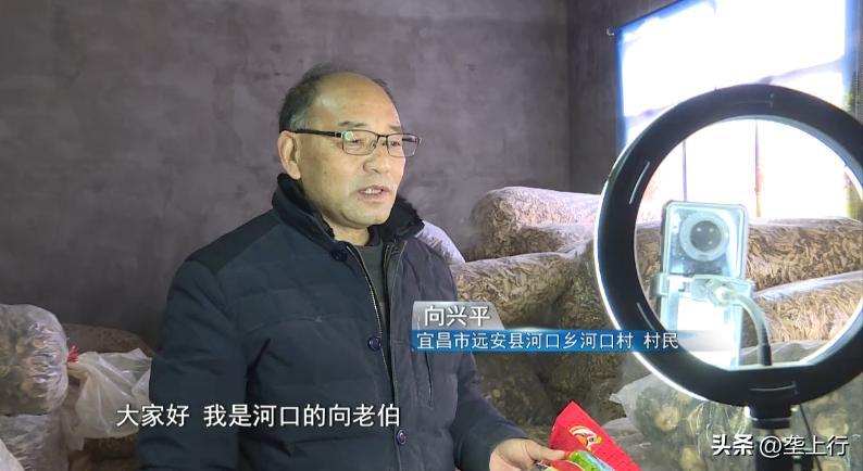 “淘宝村”里菇飘香六旬菇农年销600多万元