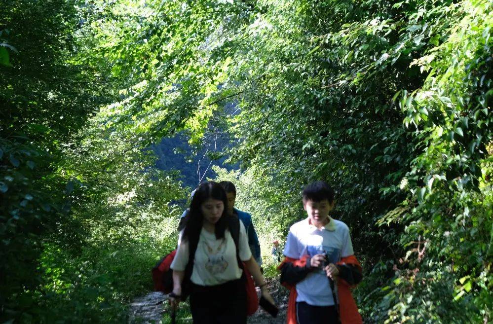 理县版MBTI来了，点击解锁小城性格→