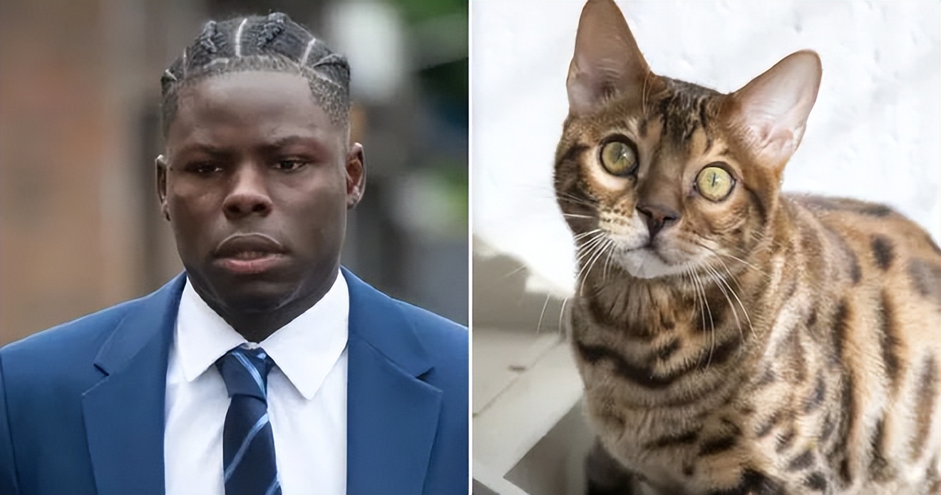 足球球员虐待狗,球员虐待狗