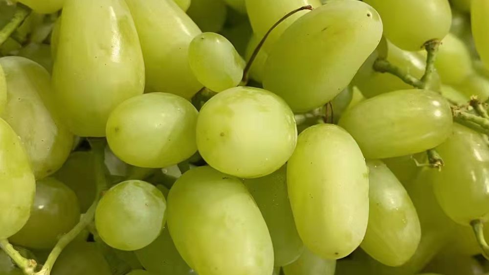 从事水果店前景怎么样,水果店发展前景如何