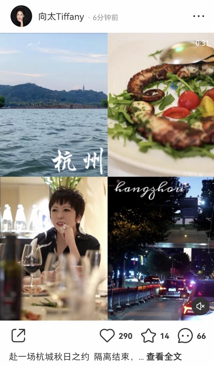 向太的中国之星珠宝,向太陈岚珠宝