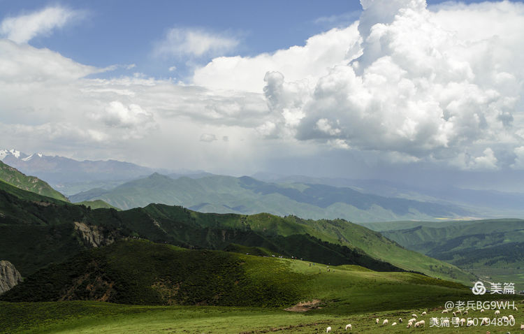 祁连山草原哪里最美,祁连山深处草原
