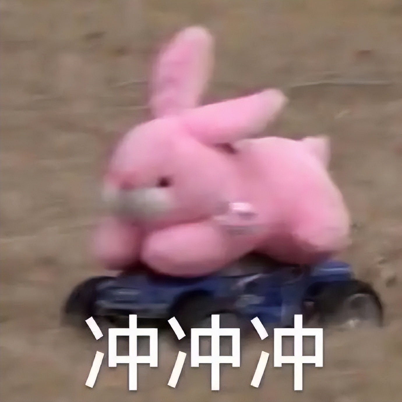 2025湛江中考体育考什么,800米体育考试广东湛江怎么跑