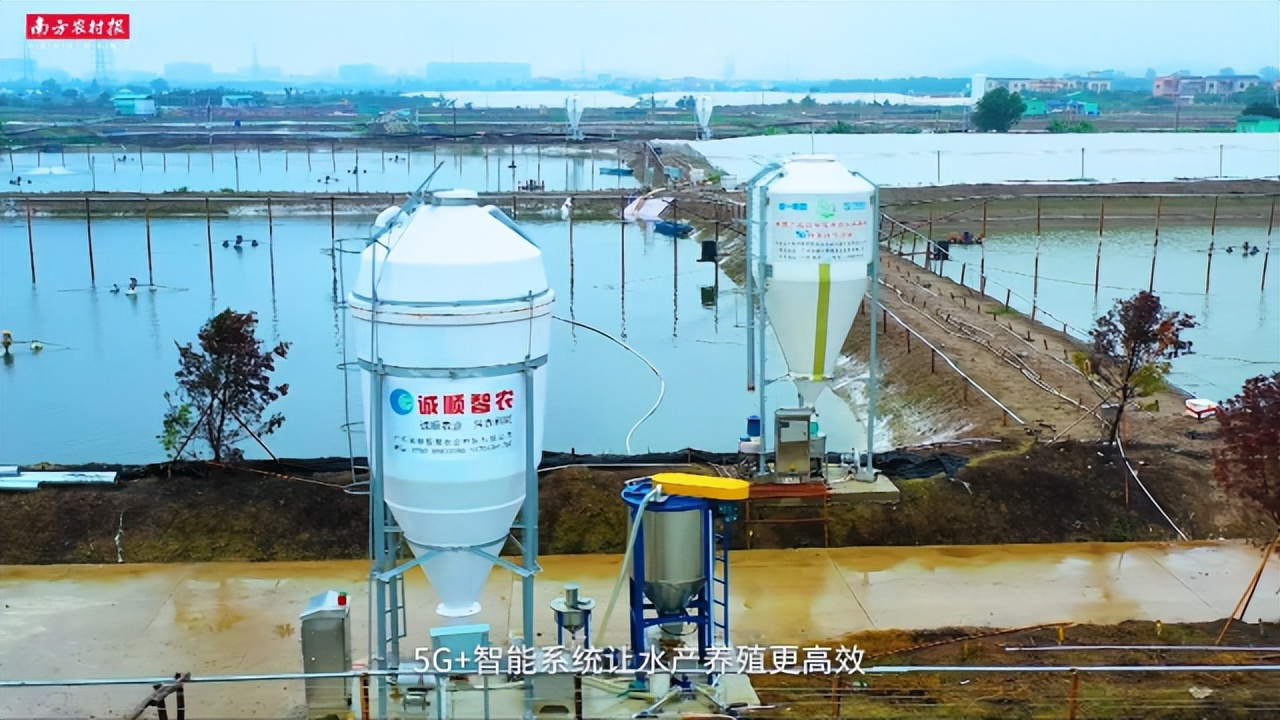 视频|飘香百年，匠心传承！黄圃腊味产业园宣传片重磅发布