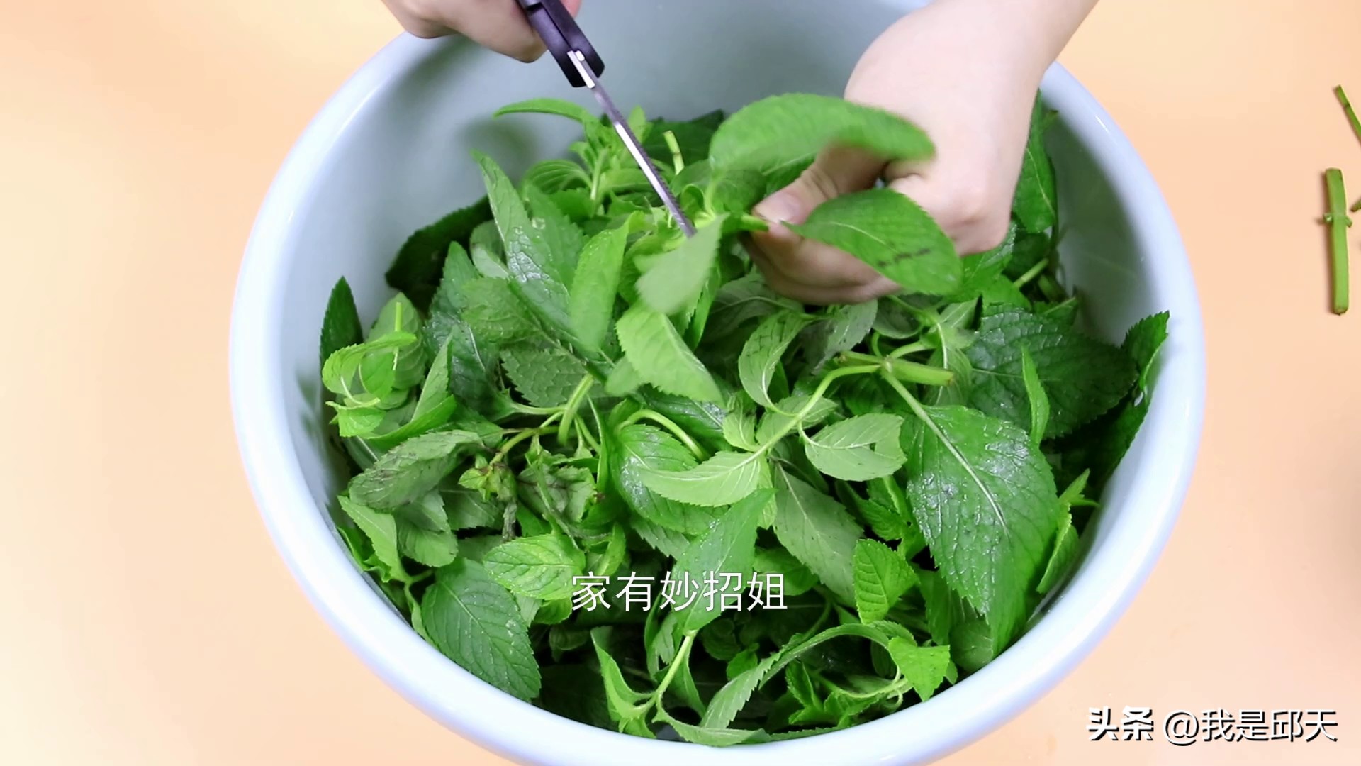 教你一招蚊子全都灭光光,家里蚊子特别多有什么好办法灭杀