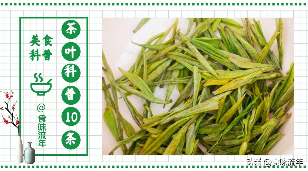 茶叶的基础知识茶之源图文,爱喝茶的你必须了解的茶叶冷知识