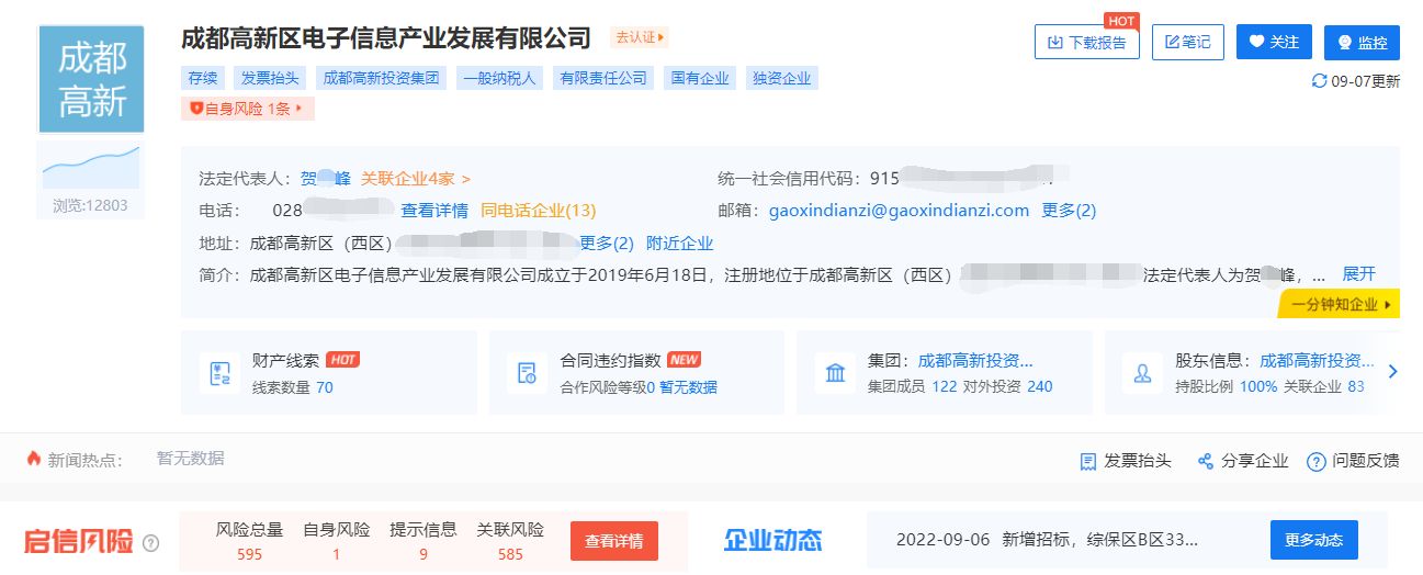 成都高新区电子信息产业,高新区电子信息产业发展有限公司