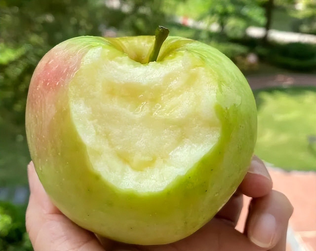 进口苹果爱马仕,苹果中的爱马仕是什么苹果