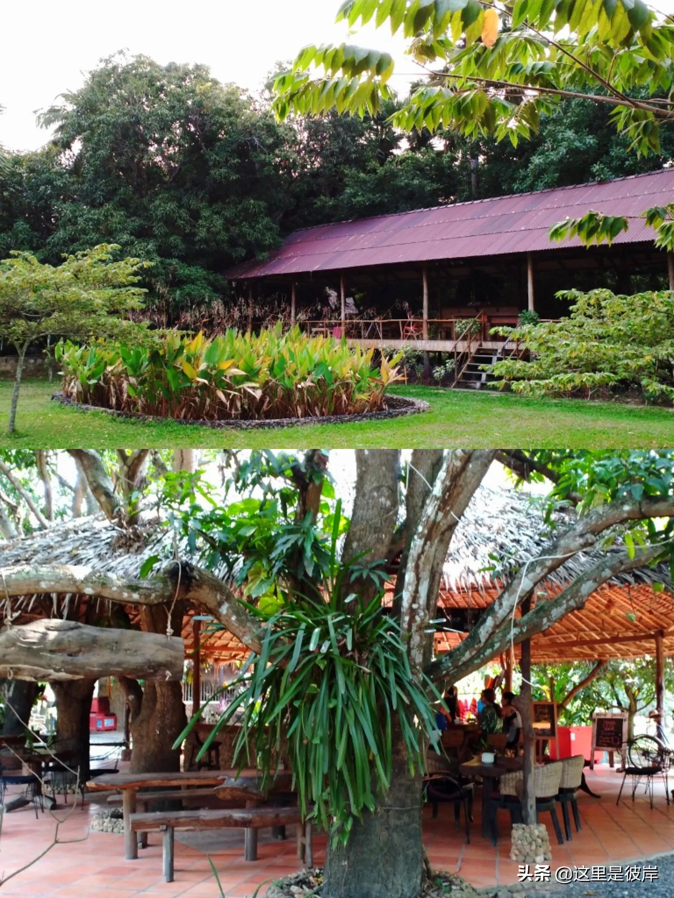 住过的最印象深刻的青旅,贡布旅游攻略大全