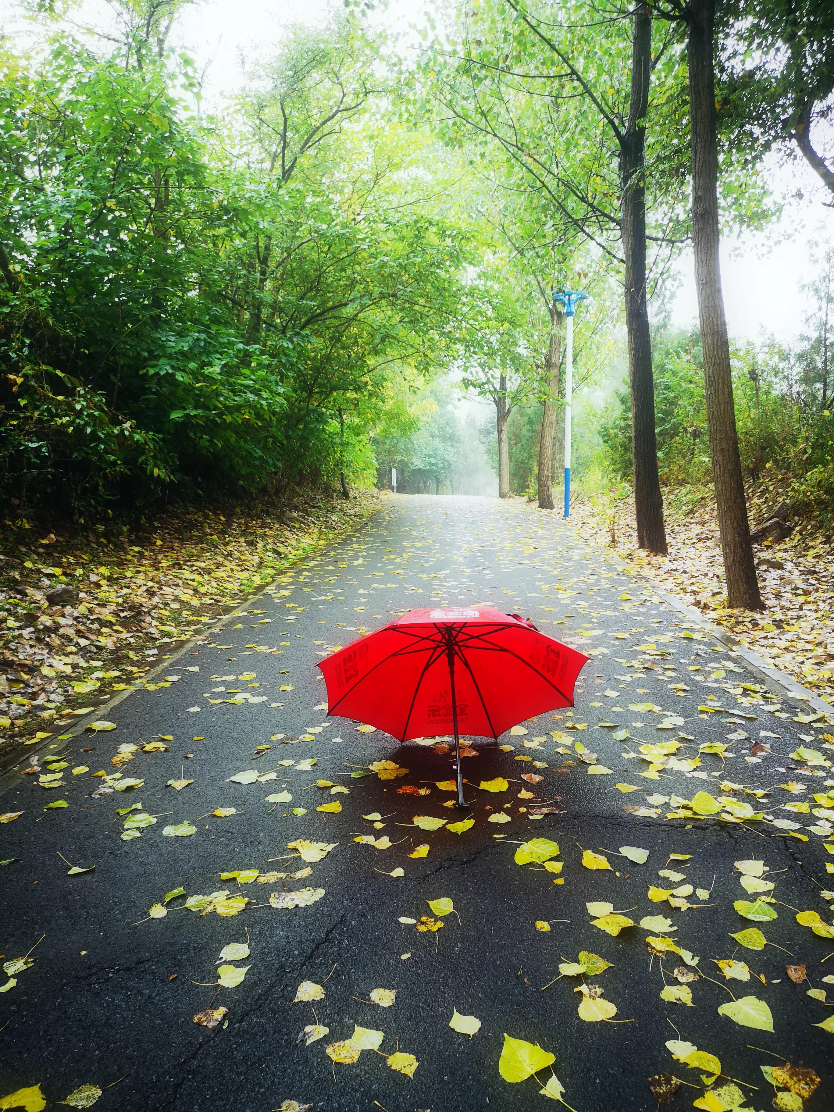 手拍世界手机摄影平台,手拍世界摄影网