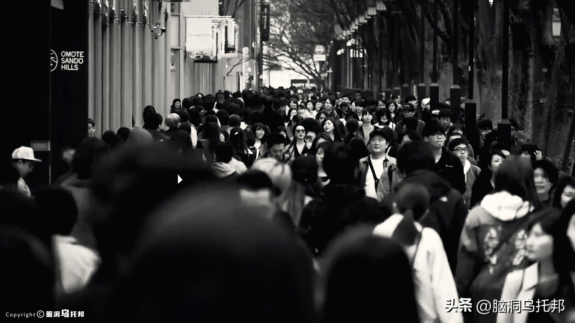 名媛案件过程,名媛碎尸案来龙去脉