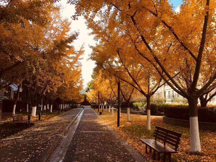 二十年河东二十年河西,二十年河东二十年河西什么意思