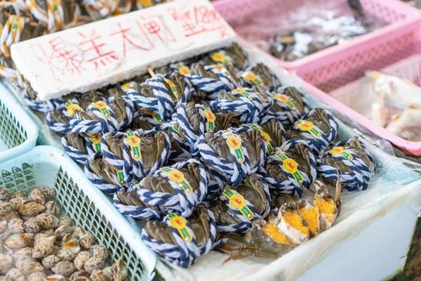 湾区光影魅力,南沙湾区超美风景线