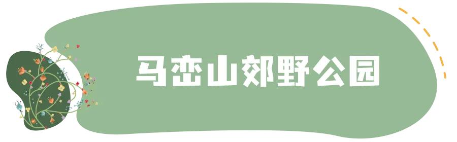 深圳免费儿童好玩的景点排名,深圳景点有哪些好玩的地方免费
