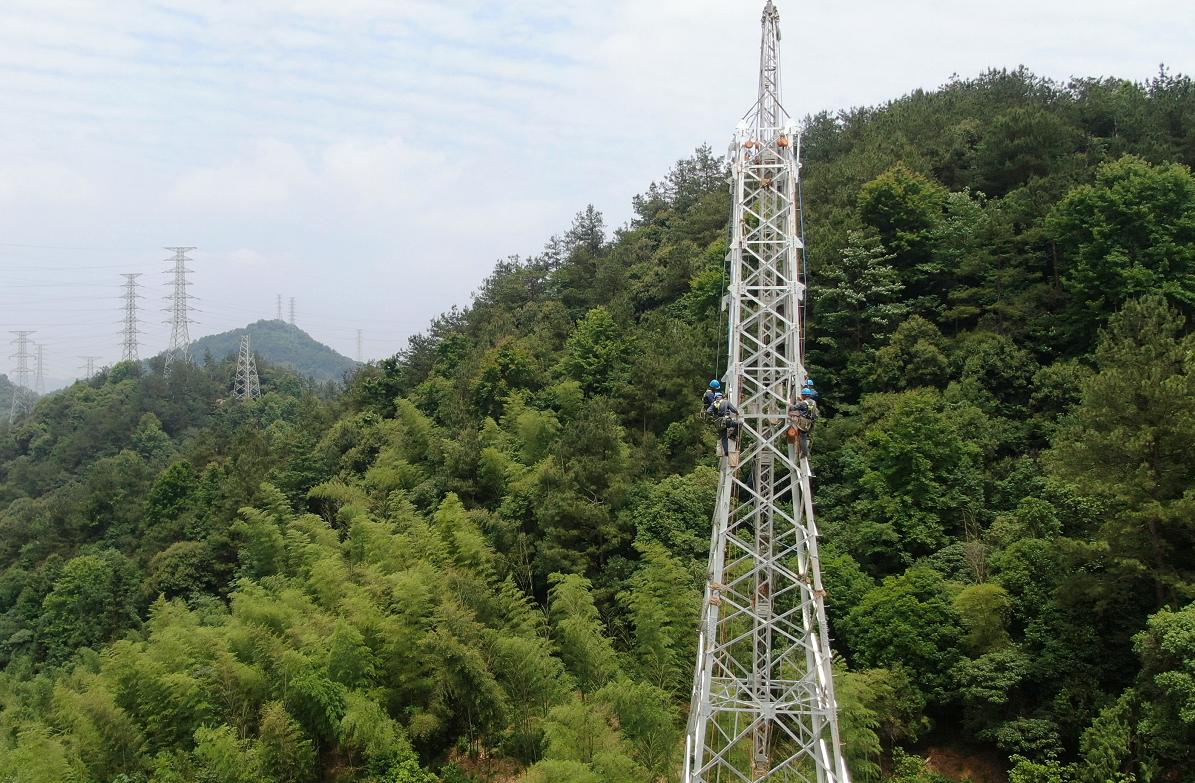余杭垃圾焚烧发电厂,壁山区垃圾焚烧发电厂