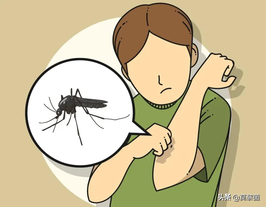 开空调为什么感觉不到有蚊子,蚊子怕冷吗开空调感觉没蚊子