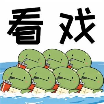 新手养龟入门教程要养什么乌龟,龟怎么养得最好