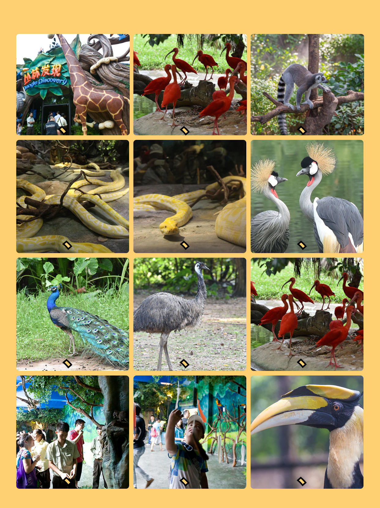 广州长隆野生动物园能寄存行李吗,长隆野生动物园行李可以寄存的吗