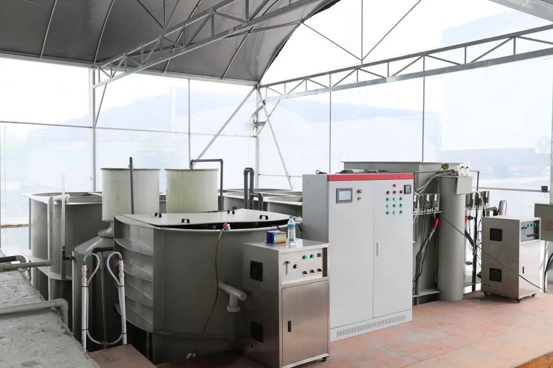 4项国家专利加持！养殖尾水处理制胜法宝！探秘佛山南海这家农企→