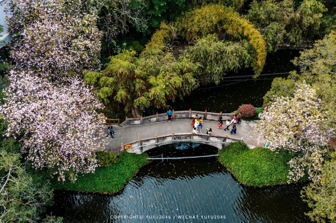 潮州古城别样的风景,瞰见潮州