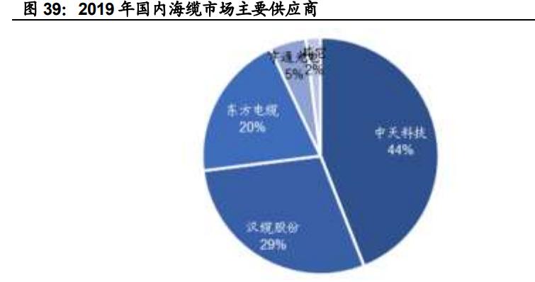 中天科技研究报告：海缆龙头企业，光储业务加速