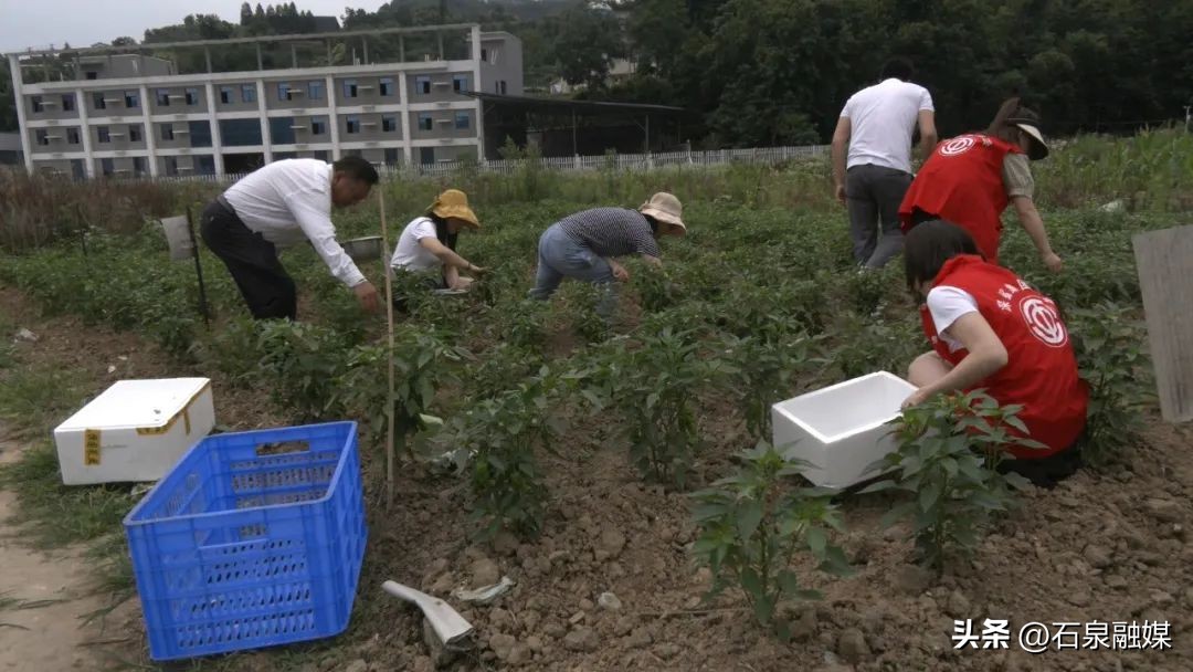 特色富硒乡村产业振兴,助力乡村经济发展富硒产业