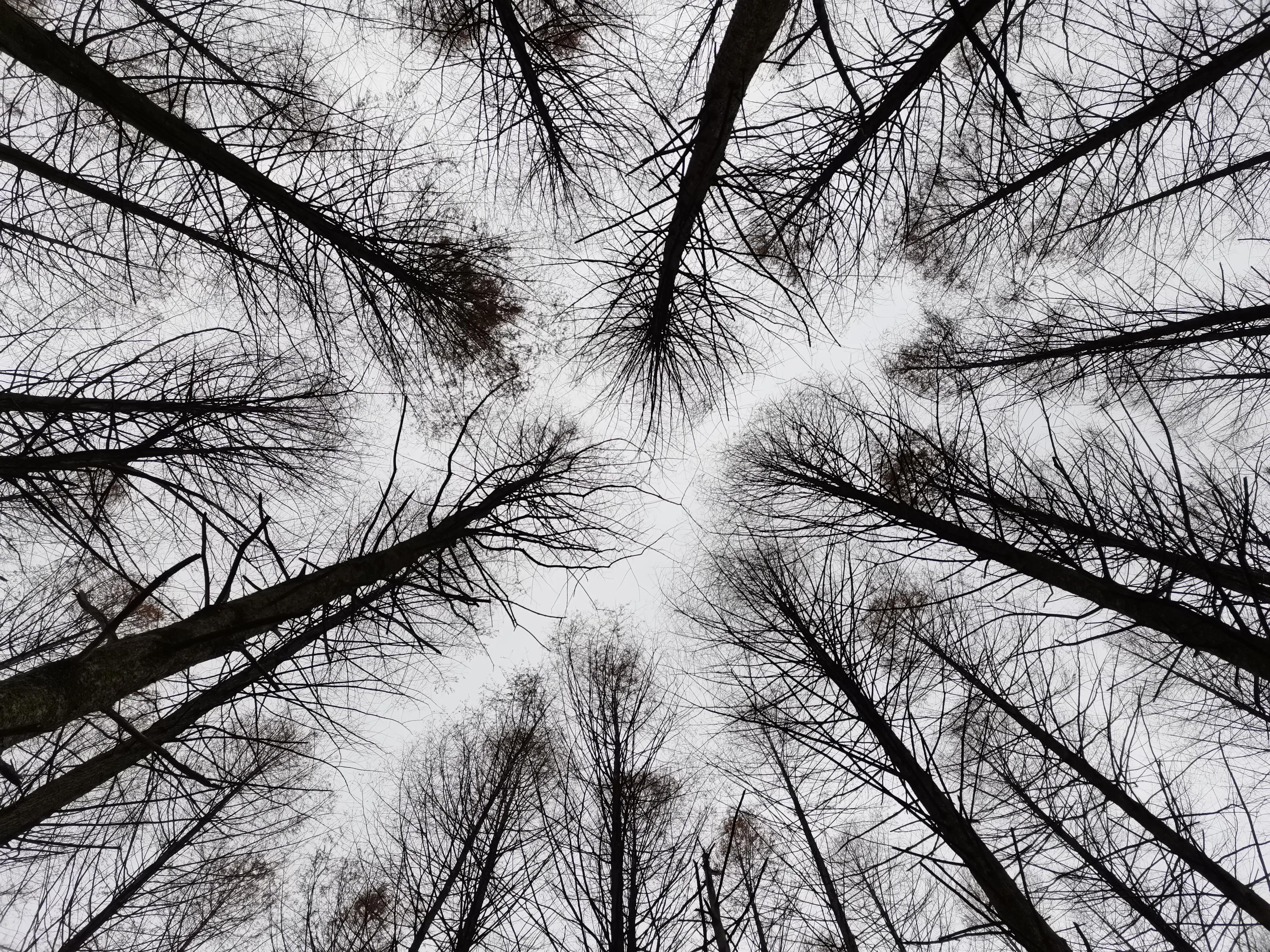 冬日里的汉中美景,南郑龙池秋色视频